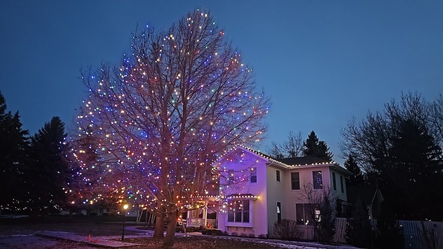 A house with a tree in the front yard showcasing Loyal Landscaping's Holiday Lighting.