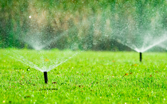 A stock image of sprinklers watering grass.